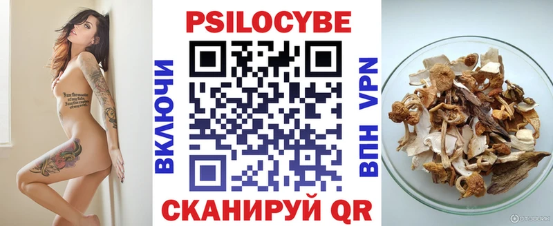 Псилоцибиновые грибы Psilocybe  Купить где  Великий Устюг 